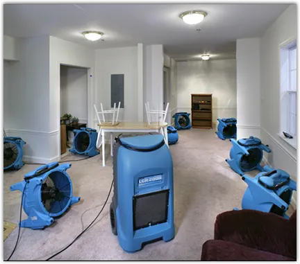 Drying & Dehumidification in Wilmington, IL