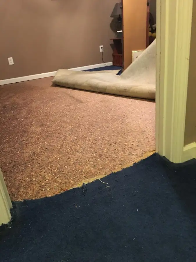 Carpet pad removal revealing water damage during Drying & Dehumidification in Wilmington
