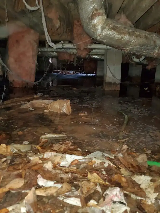 Crawl space flood assessment for Leak Detection & Repair in Wilmington