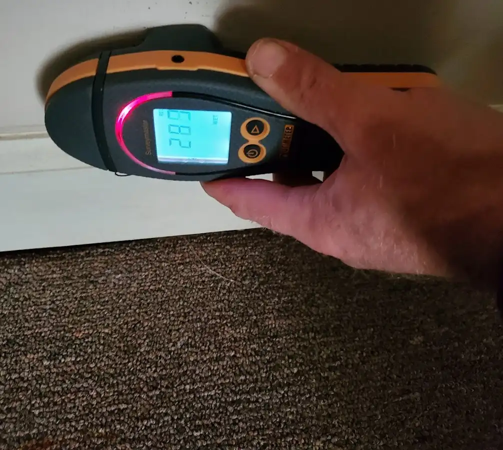 Moisture detection at baseboard during Mold Inspection & Testing in Wilmington